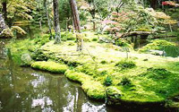 西芳寺苔庭